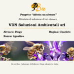 VDN_Soluzioni_Ambientali_srl_certificate_sito